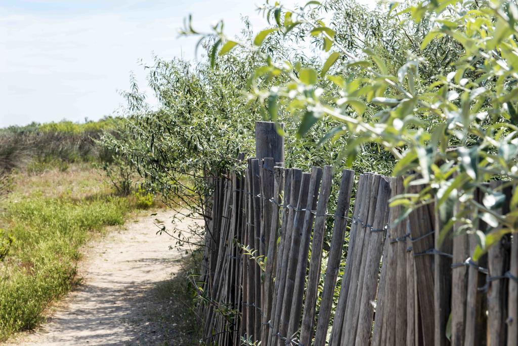 Domaine Les Muriers Vendres Exterior foto