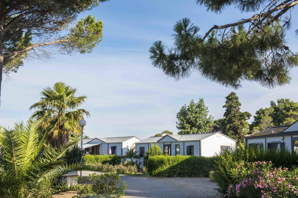 Domaine Les Muriers Vendres Exterior foto